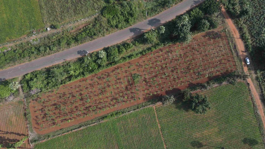 DJI_0629_1_11zon