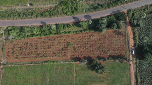 DJI_0626_5_11zon