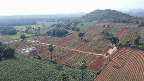 DJI_0639_2_11zon