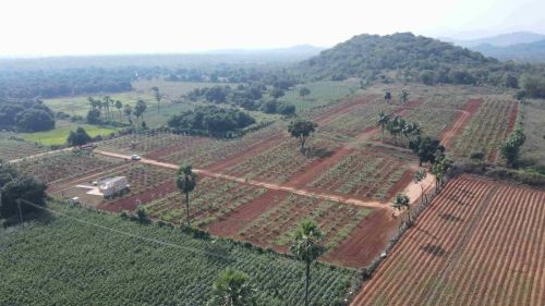 DJI_0640_3_11zon