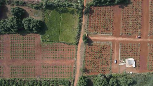 DJI_0651_9_11zon