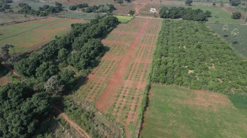 DJI_0657_3_11zon