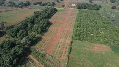 DJI_0658_4_11zon
